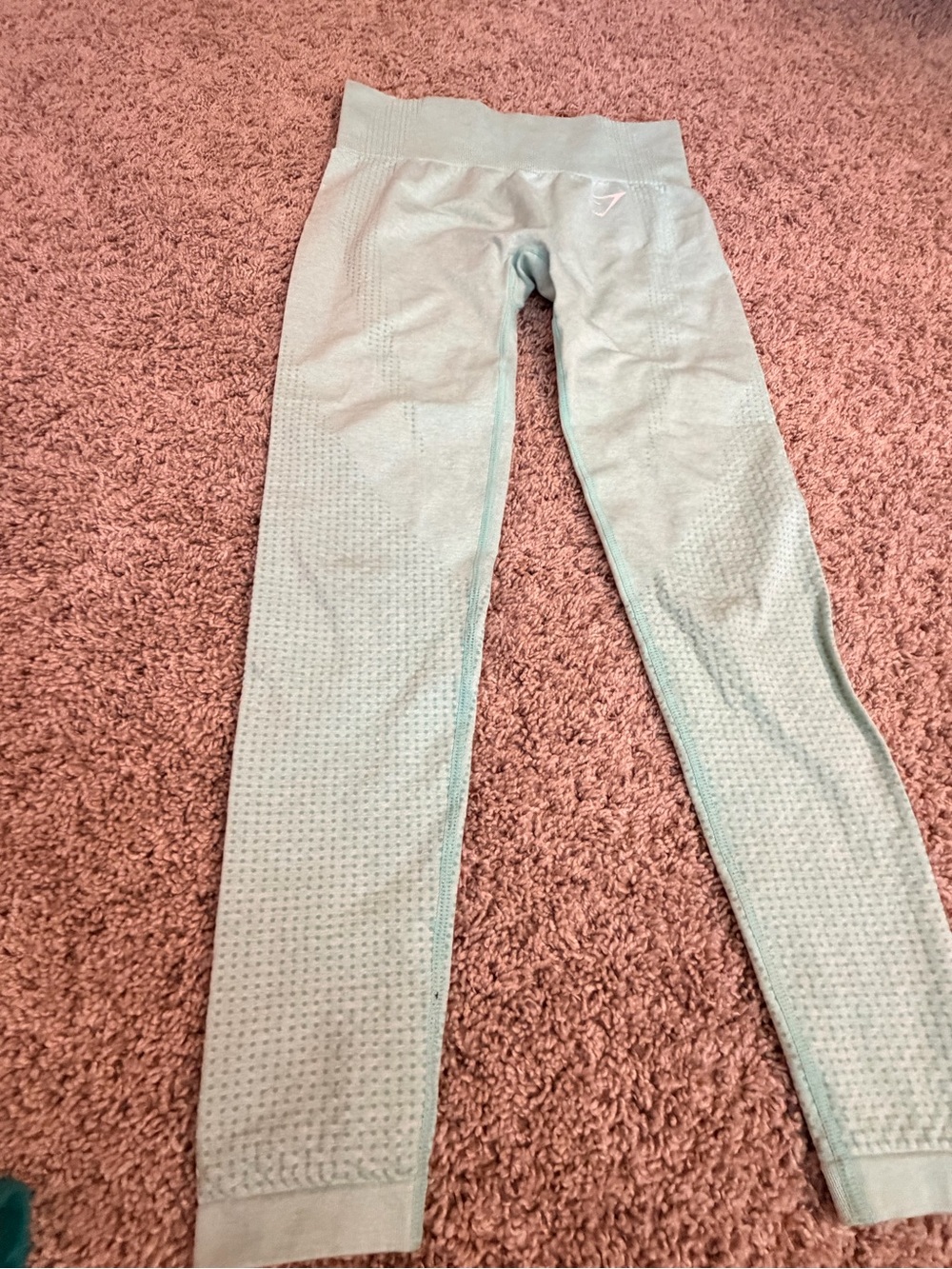 Gymshark Seamless Light Mint Leggings